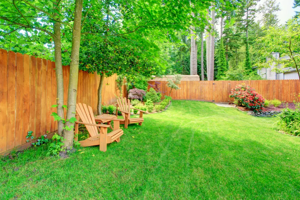 Arboricultural Impact Assessment trees in back garden chair