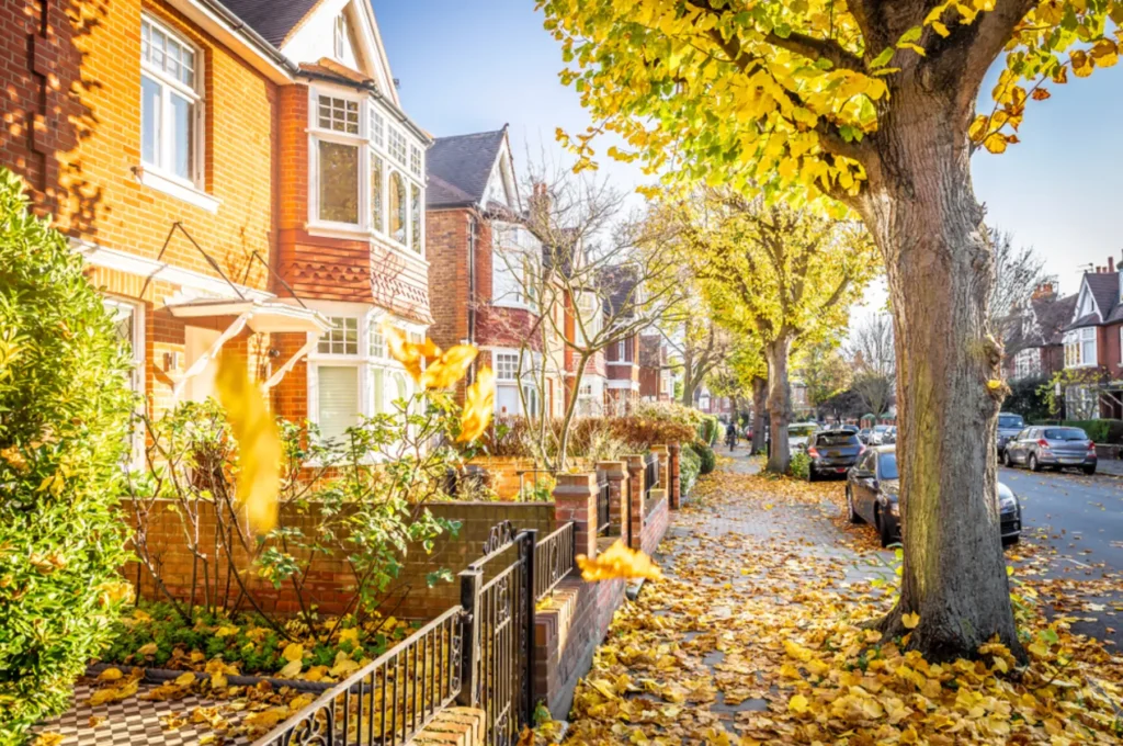 tree survey near me homes